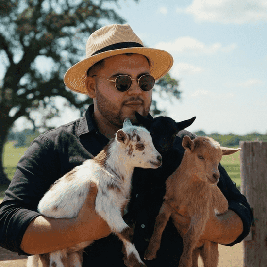 Criador com mini cabras e mini bodes no colo
